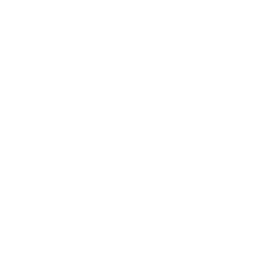 Support in Decision Making
